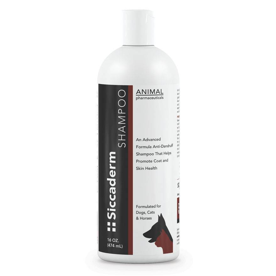 SiccaDerm Antidandruff Shampoo for Dogs and Cats VetRxDirect 16oz