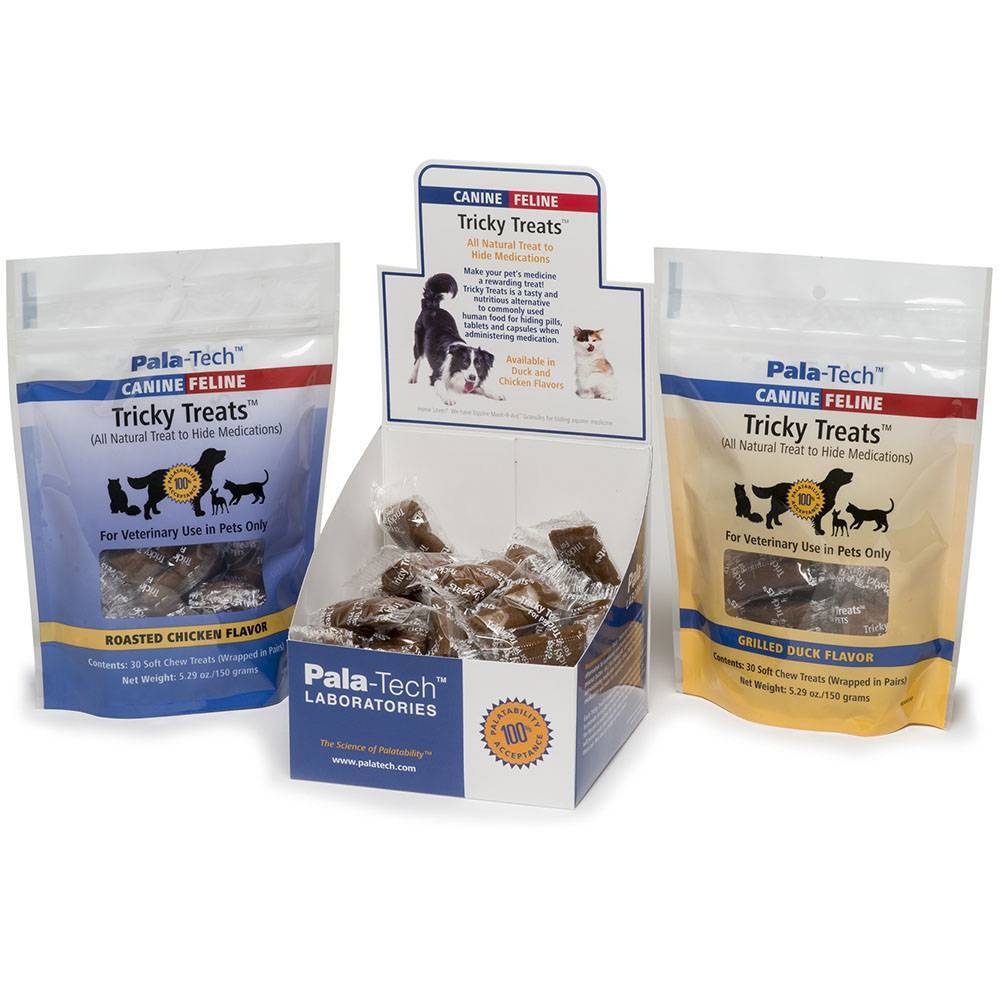 Can you give dogs cat treats Outlet
