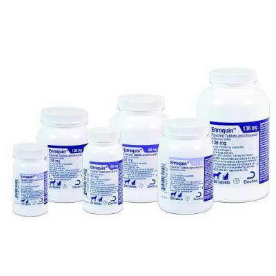 Enrofloxacin Generic Baytril Taste Tabs Vetrxdirect Enrofloxacin Generic Baytril Taste Tabs Vetrxdirect