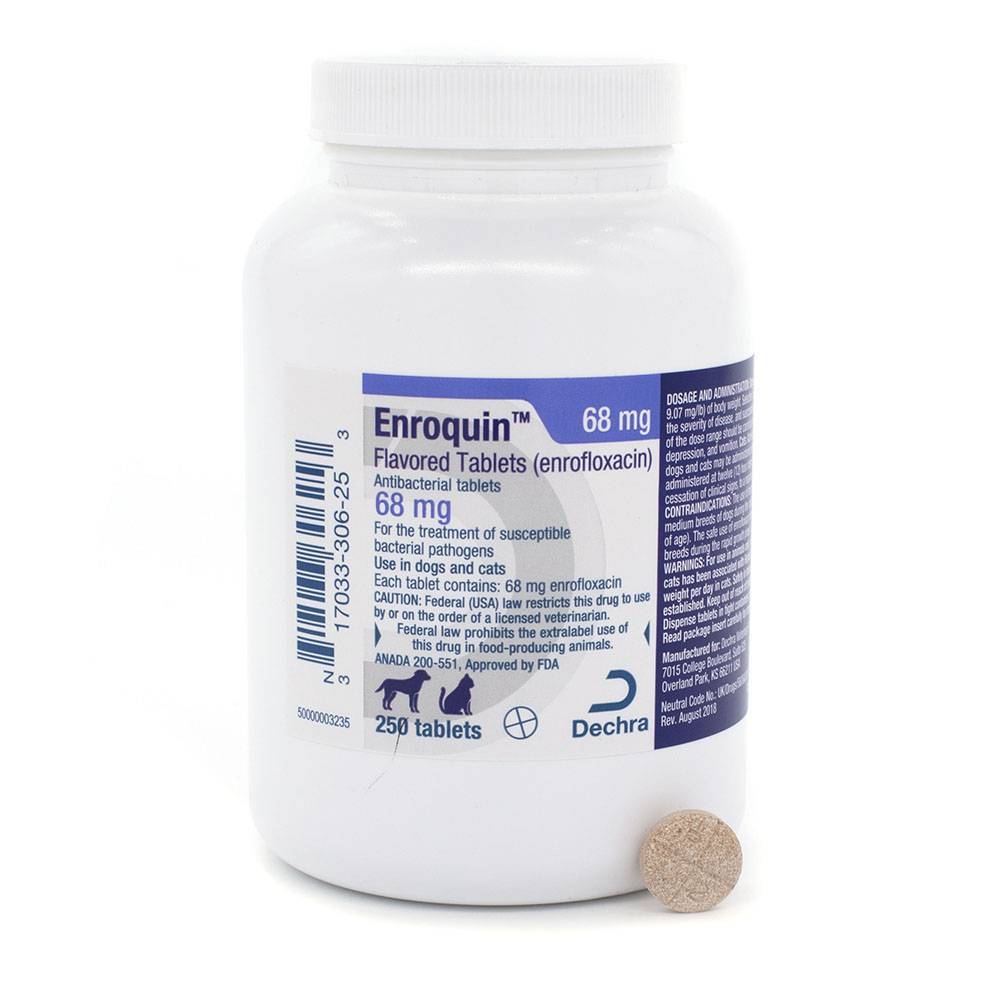 Enrofloxacin Generic Baytril Taste Tabs VetRxDirect 22.7mg