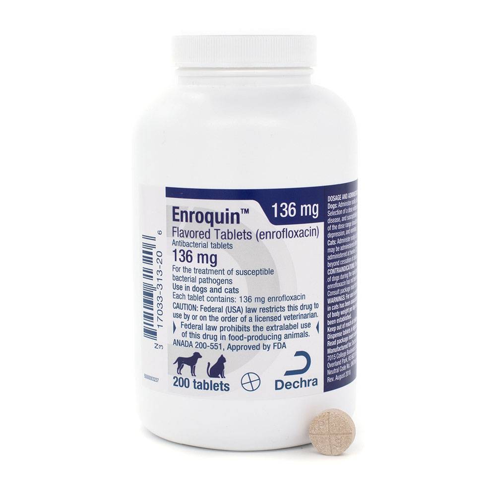 14519 enroquin enrofloxacin flavored tablets for dogs and cats