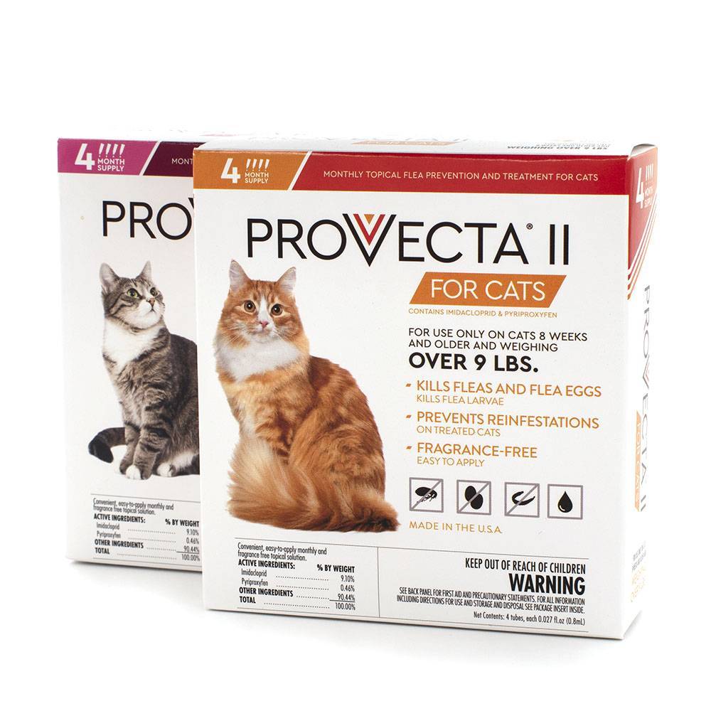 Provecta for Cats Monthly Flea Topical VetRxDirect Pharmacy for