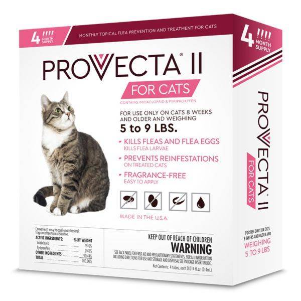 Preventative flea treatment deals for cats