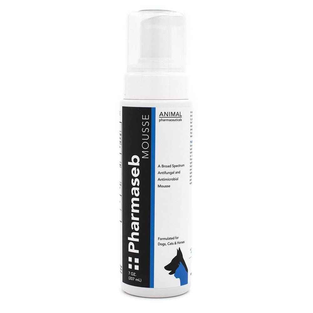 Max chlorhexidine shampoo for dogs clearance