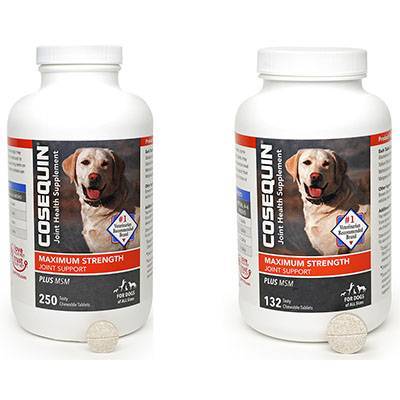 Cosequin For Dogs: Effective Joint Health Supplements For Dogs