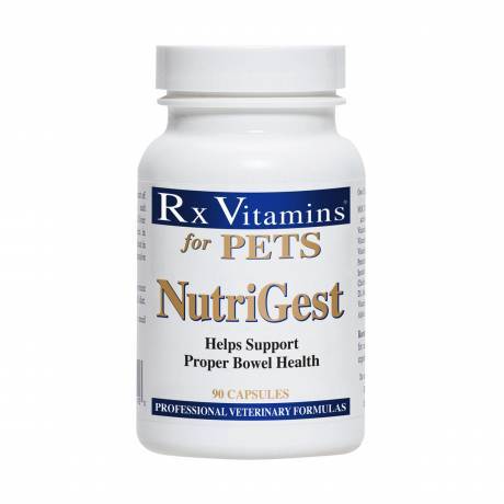 NutriGest 90 Capsules for Dogs and Cats GI Mucosa