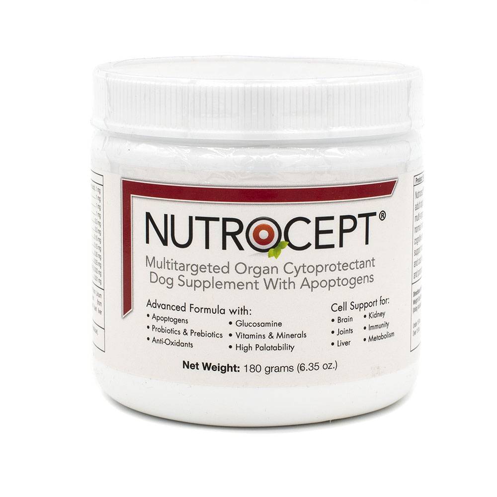 nutro supplement for dogs