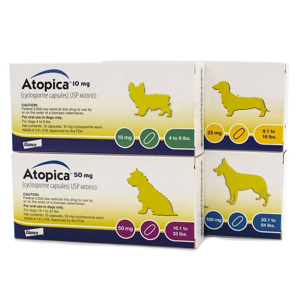 atopica-for-dogs-cyclosporine-for-dogs-allergy-dog-meds-vetrxdirect