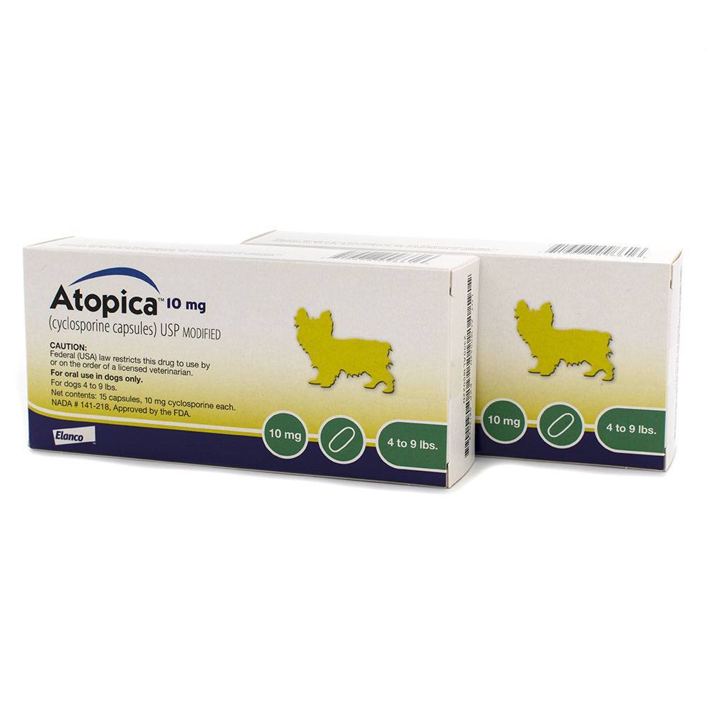 Atopica for Dogs Cyclosporine for Dogs Allergy Dog Meds