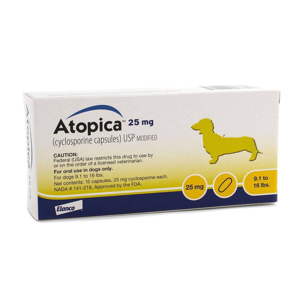 Atopica for Dogs Cyclosporine for Dogs Allergy Dog Meds VetRxDirect