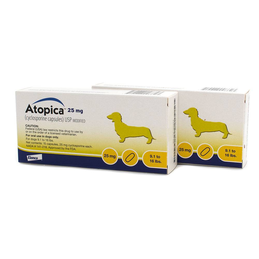 Atopica for Dogs Cyclosporine for Dogs Allergy Dog Meds