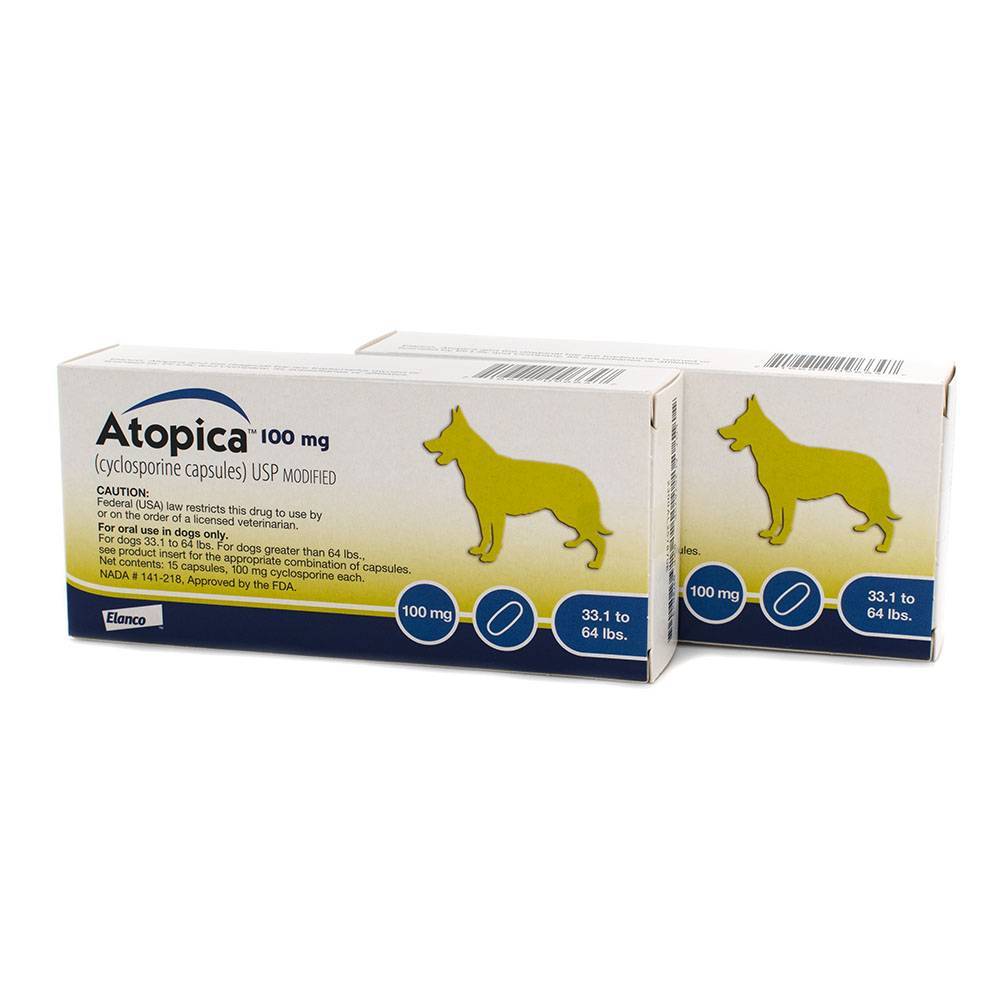 Atopica for Dogs Cyclosporine for Dogs Allergy Dog Meds VetRxDirect