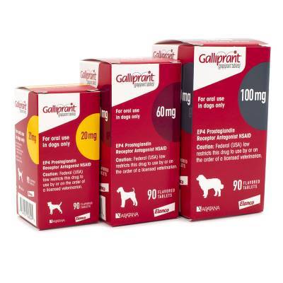 Galliprant Ep4 Receptor Antagonist Nsaid Vetrxdirect