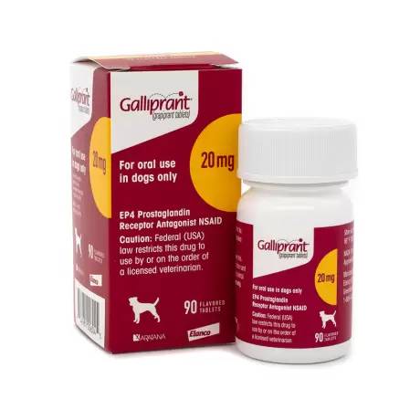 Galliprant - 20mg for Dogs, 90 Flavored Tablets NSAID Control Pain and Inflammation