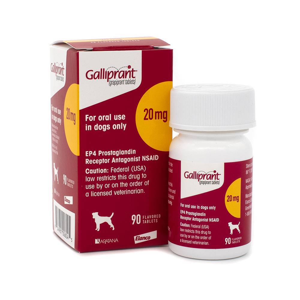 Galliprant EP4 Receptor Antagonist NSAID VetRxDirect