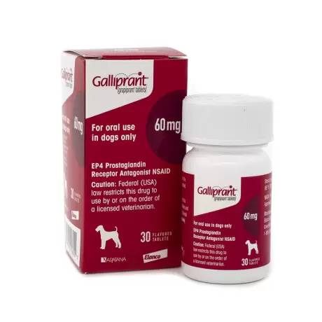 Galliprant - 60mg for Dogs, 30 Flavored Tablets NSAID Control Pain and Inflammation