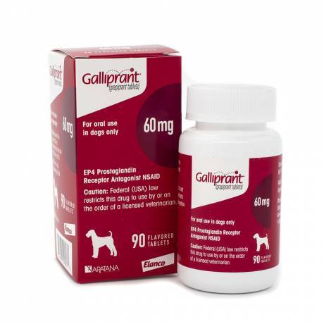 Galliprant - 60mg for Dogs, 90 Flavored Tablets NSAID Control Pain and Inflammation