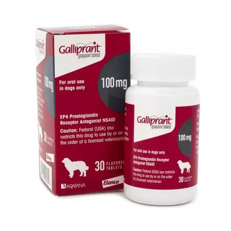 Galliprant - 100mg for Dogs, 30 Flavored Tablets NSAID Control Pain and Inflammation