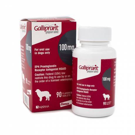 Galliprant - 100mg for Dogs, 90 Flavored Tablets NSAID Control Pain and Inflammation