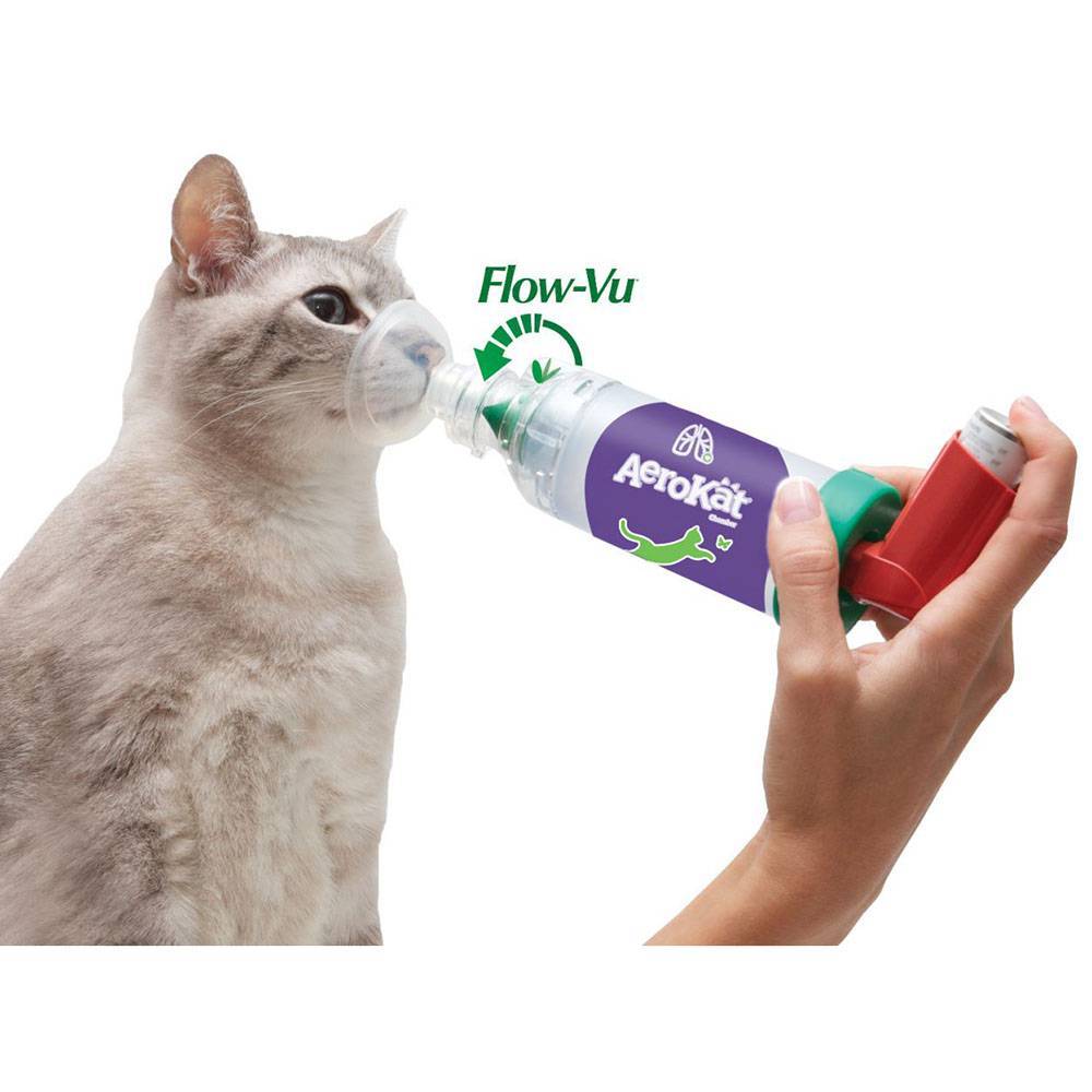 AeroKat for Cats Feline Aerosol Chamber for Asthma VetRxDirect