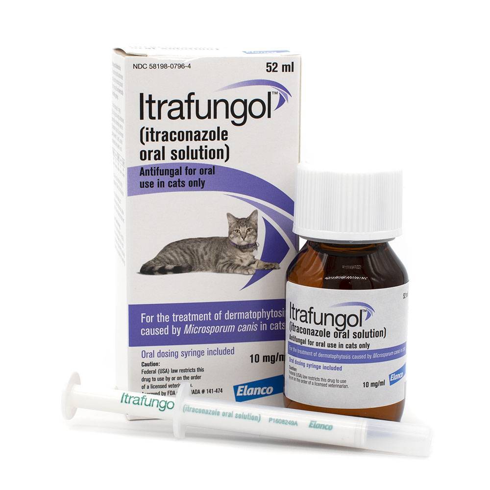 Itrafungol Itraconazole Oral Solution for Cats VetRxDirect
