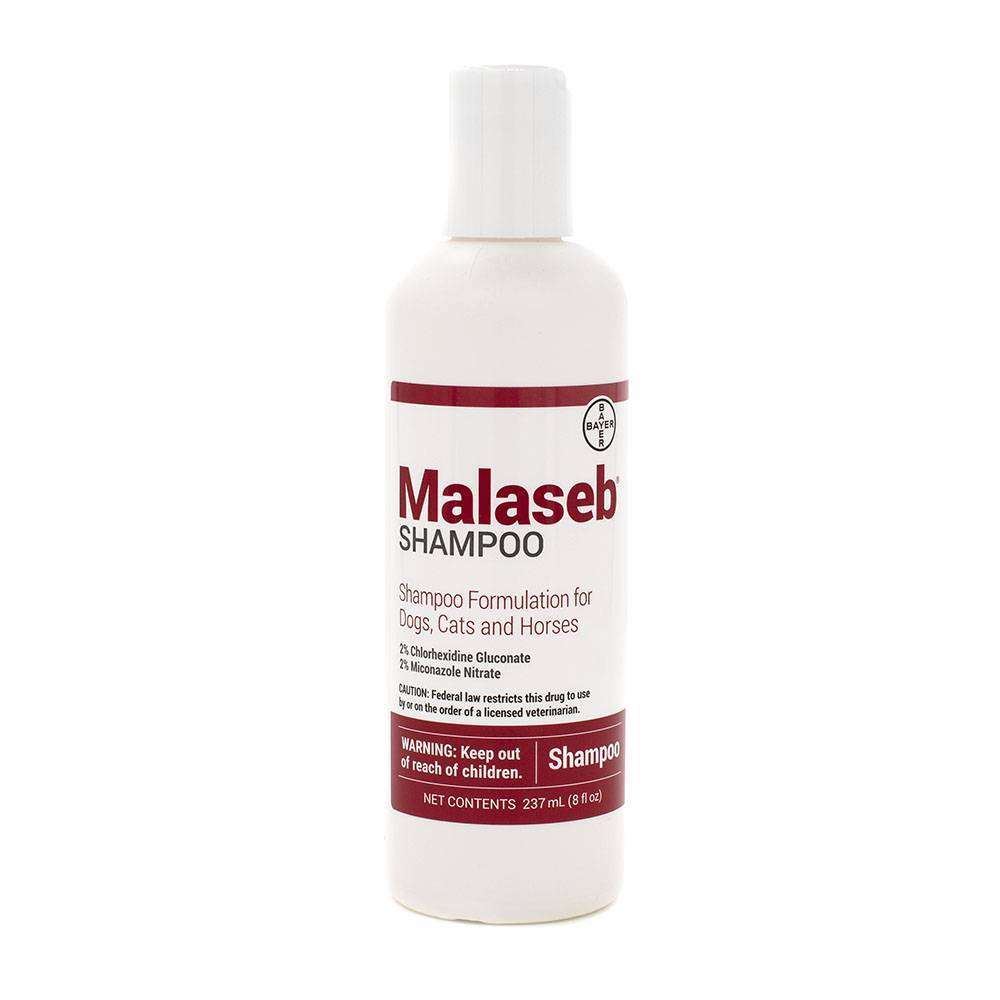 Malaseb Shampoo For Dogs And Cats Medicated Vetrxdirect Pharmacy