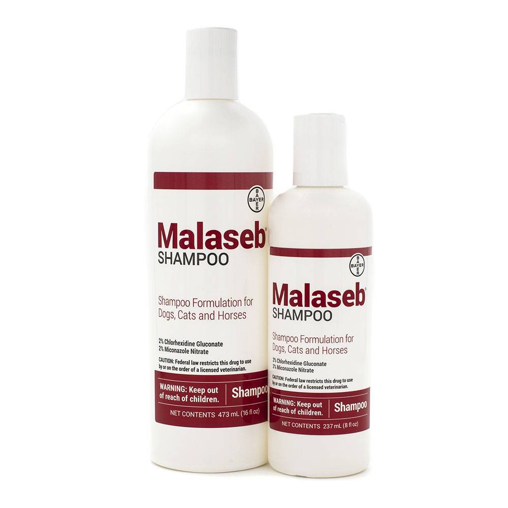 Malaseb Shampoo for Dogs and Cats Medicated VetRxDirect Pharmacy