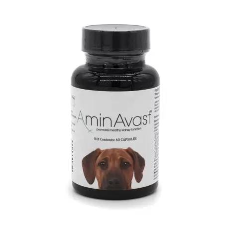 AminAvast for Dogs Promotes Healthy Kidney Function