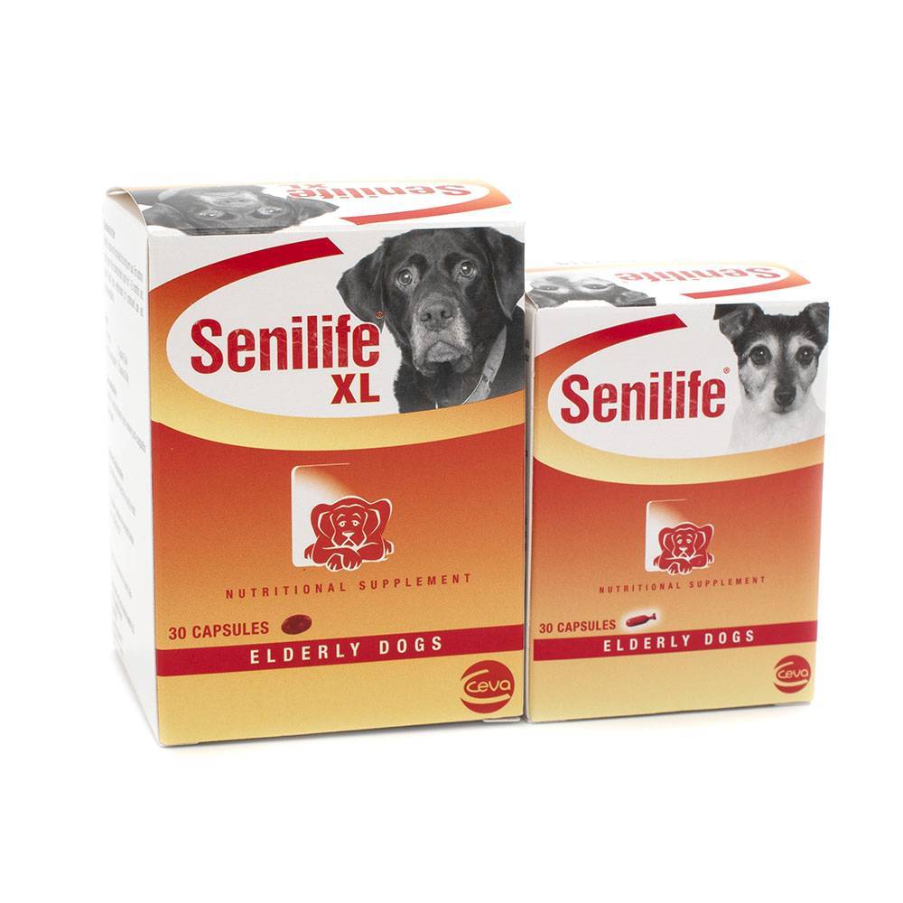 Senilife Regular and XL Size For Elderly Dogs VetRxDirect