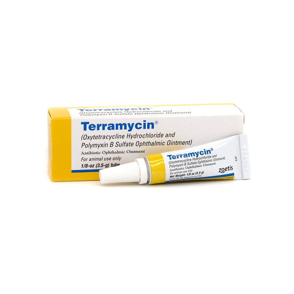 how do i apply terramycin ophthalmic ointment to my dog