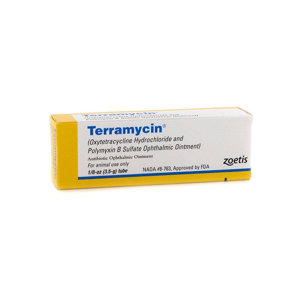 Terramycin Antibiotic Eye Ointment for Dogs and Cats VetRxDirect