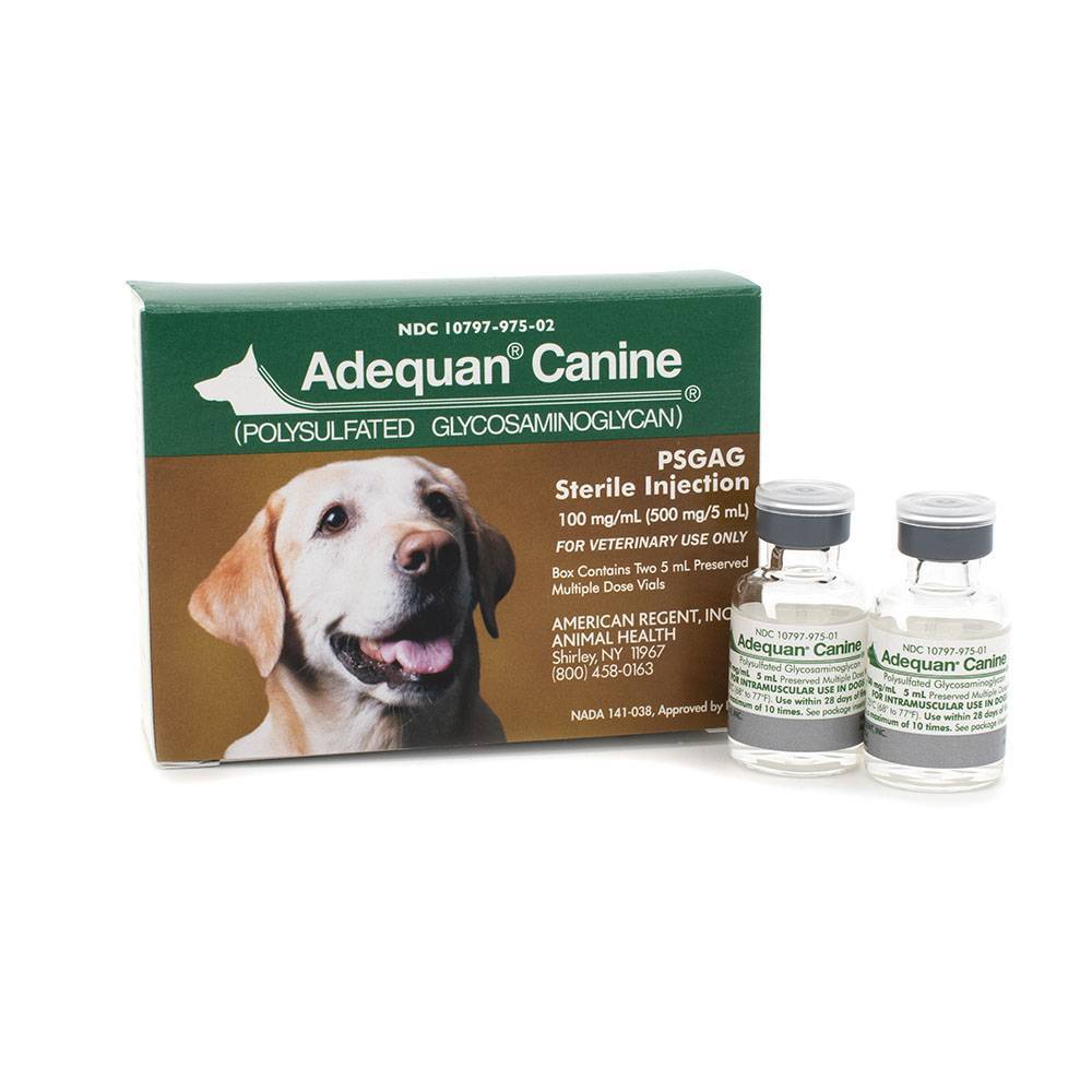 Adequan Canine Adequan for Dogs Joint Injection VetRxDirect