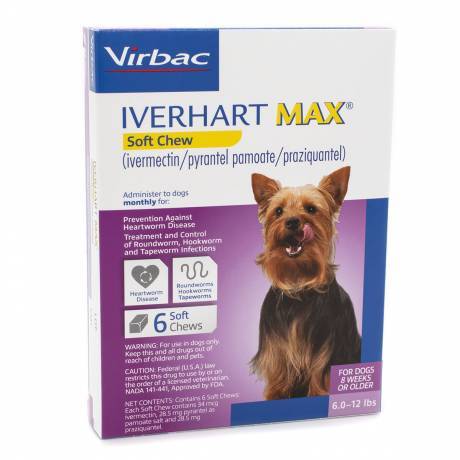 Iverhart Max Soft Chews for Dogs - 6.0-12lbs, 6 Month Supply Heartworm Prevention Dewormer