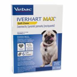 Iverhart Max Soft Chews for Dogs; ?>