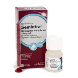 Semintra (telmisartan oral solution); ?>