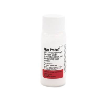 Neo Predef Powder for Dogs: Neo-Predef - Tetracaine Powder