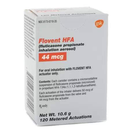 Flovent Inhaler - 44 mcg for Cats and Dogs, 120 Metered Actuations Inhaled Aerosol Steroid