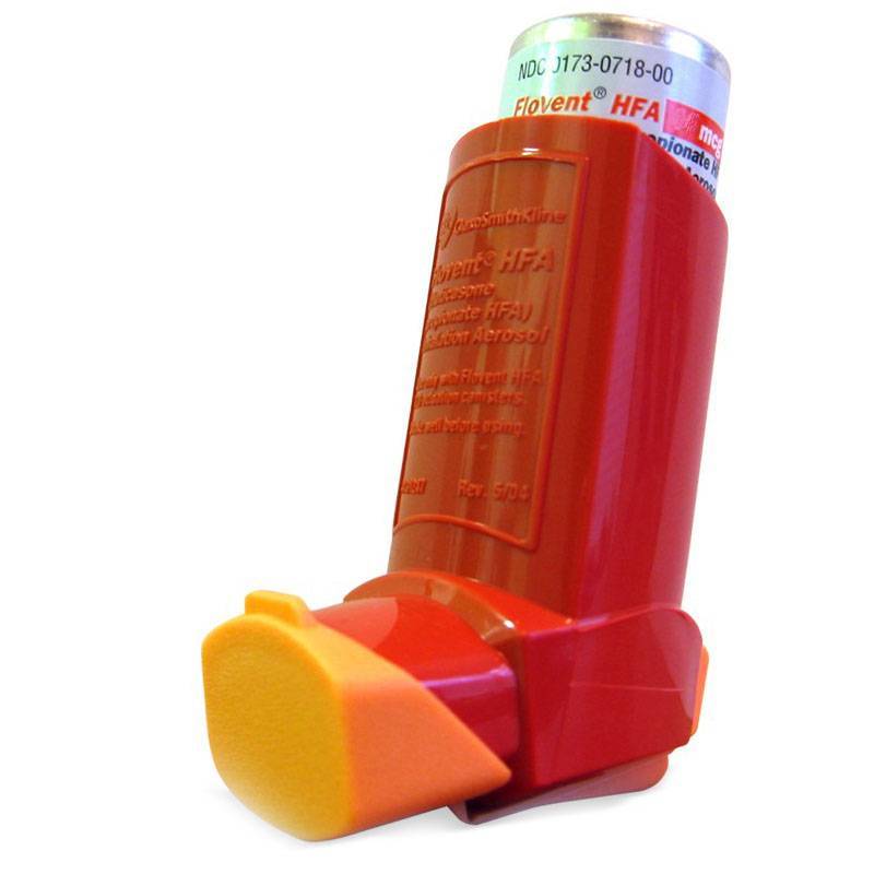 Flovent Asthma Inhaler for Cats and Dogs VetRxDirect Pharmacy