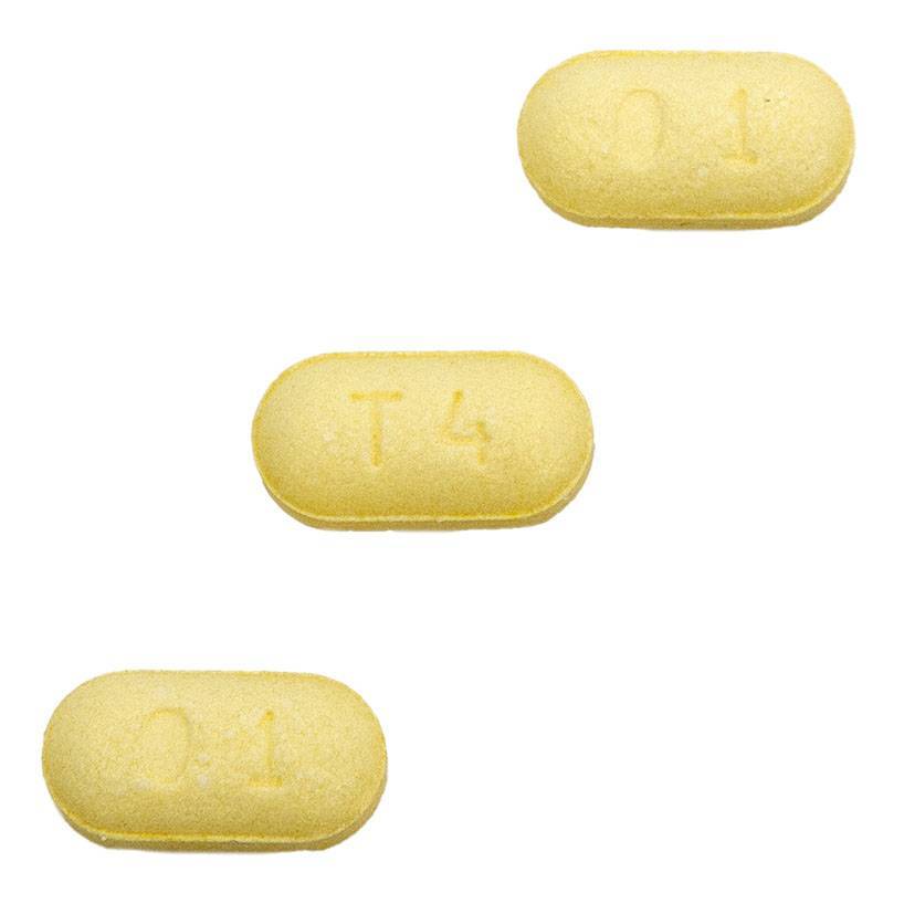 ThyroKare Levothyroxine for Dogs VetRxDirect Pharmacy