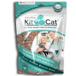 Kit4Cat; ?>