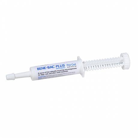 Bene-Bac Plus Probiotic for Dogs and Cats - Pet Gel, 0.53oz (15g) Syringe