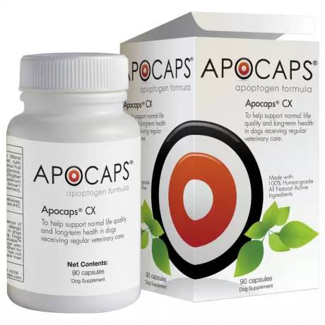 Apocaps for Dogs - CX Apoptogen Formula Capsules - Apoptosis