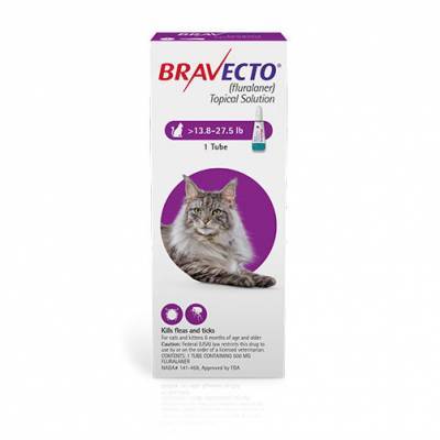Bravecto Topical Solution for Cats 500mg, 13.8 - 27.5 lbs, 1 Pack