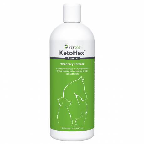 KetoHex for Dogs and Cats - Chlorhexidine Ketoconazole Shampoo, 16oz Bottle