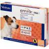 Effitix Plus for Dogs 11-22.9 lbs, 3 Month Supply