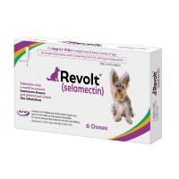 Revolt (selamectin) for Dogs 5.1-10 lbs, 6 Month Supply; ?>