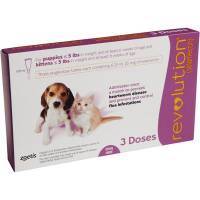 Revolution (selamectin) for Dogs For Puppies and Kittens Up to 5 lbs, 3 Month Supply