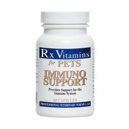 Immuno Support; ?>