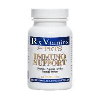 Immuno Support 60 Capsules; ?>
