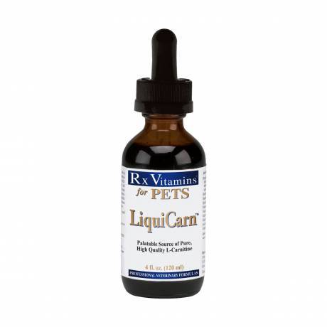 LiquiCarn for Dogs and Cats - 4oz (120mL) RxVitamins